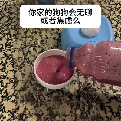 【慢食碗舔舔乐】宠物丰