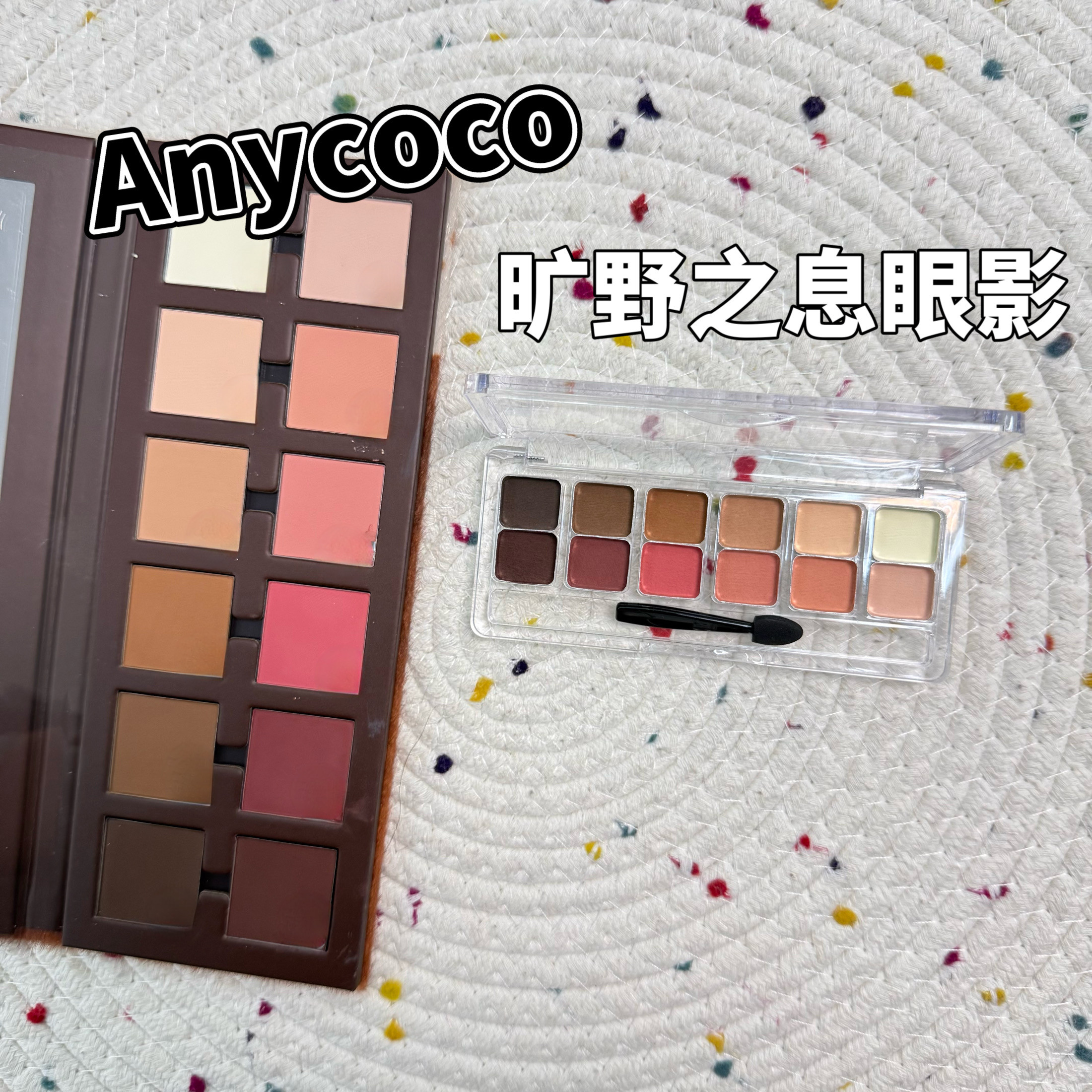 ANYCOCO旷野之息十二色眼影日常哑光大地色综合盘试色小样