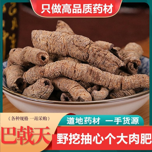 巴戟天中药材正品 野生巴戟肉淫羊藿肉苁蓉覆盆子泡酒