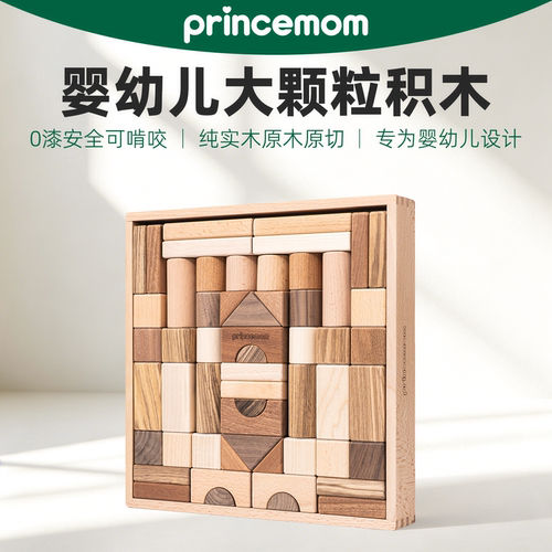 PrinceMom婴幼儿可啃咬积木玩具