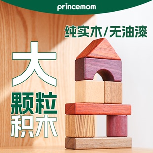 PrinceMom宝宝婴儿积木玩具小月龄6个月以上一0到3岁大颗粒可啃咬