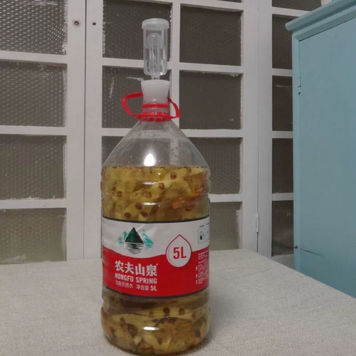 自酿米酒水果酵素排气阀适用农夫山泉4L5L12.9升矿泉水桶单向阀