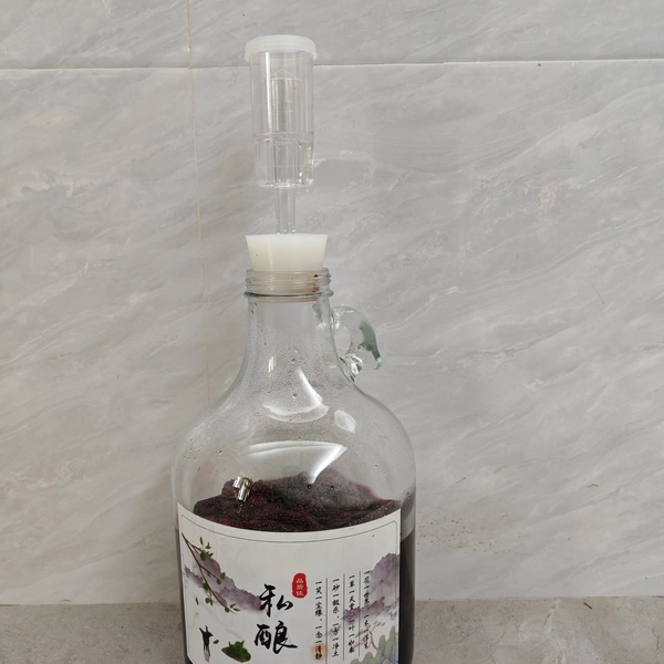 酿桑葚酒酵素百香果酒三片式防爆排气阀 酿白兰地酒密封单向阀