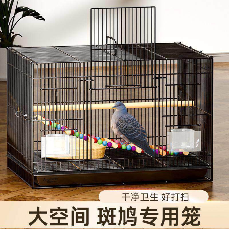 斑鸠专用笼子斑鸠鸟笼养殖笼子养斑鸠活鸟家养的笼子超大号繁殖窝