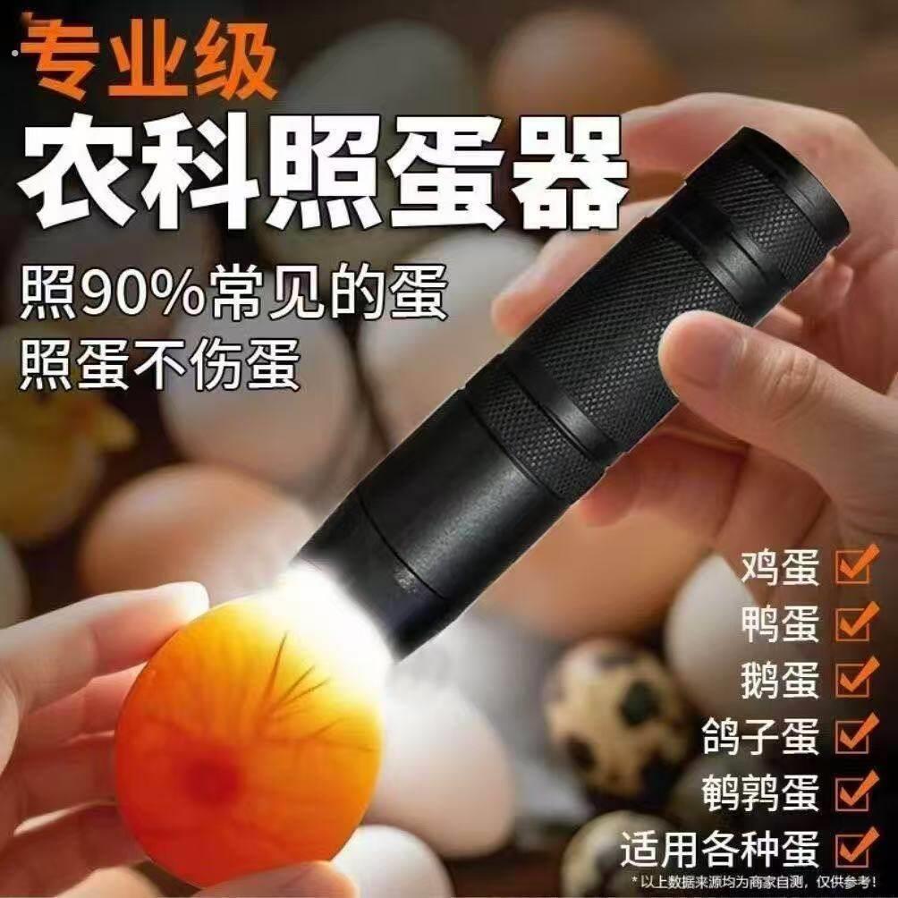 孵化机照蛋器 led冷光照蛋灯 插电照蛋器 鸡鸭鹅鸽子种蛋检查工具