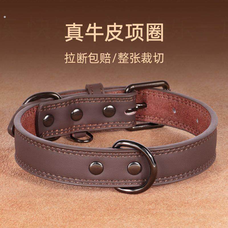 真皮狗狗项圈狗脖圈中小型犬泰迪柯基外出遛狗颈圈宠物牵引绳狗链