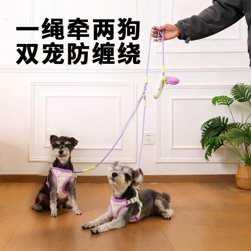 哈奇米一拖二遛狗牵引绳子狗狗防缠绕小狗小型中型犬两只双狗双头