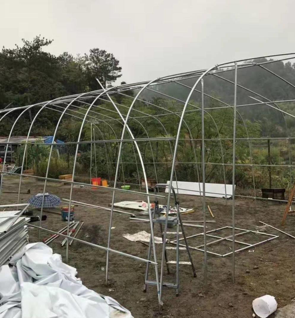 温室花卉养猪架子阳光棚钢管鸡舍鸡棚搭建暖棚护栏棚架牛羊菌菇.