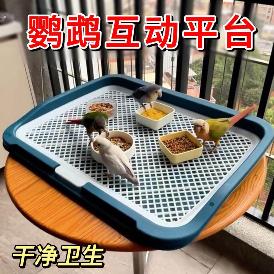 鹦鹉休息平台玩耍互动游乐场鸟喂食喝水定点排便训练站台厕所托盘