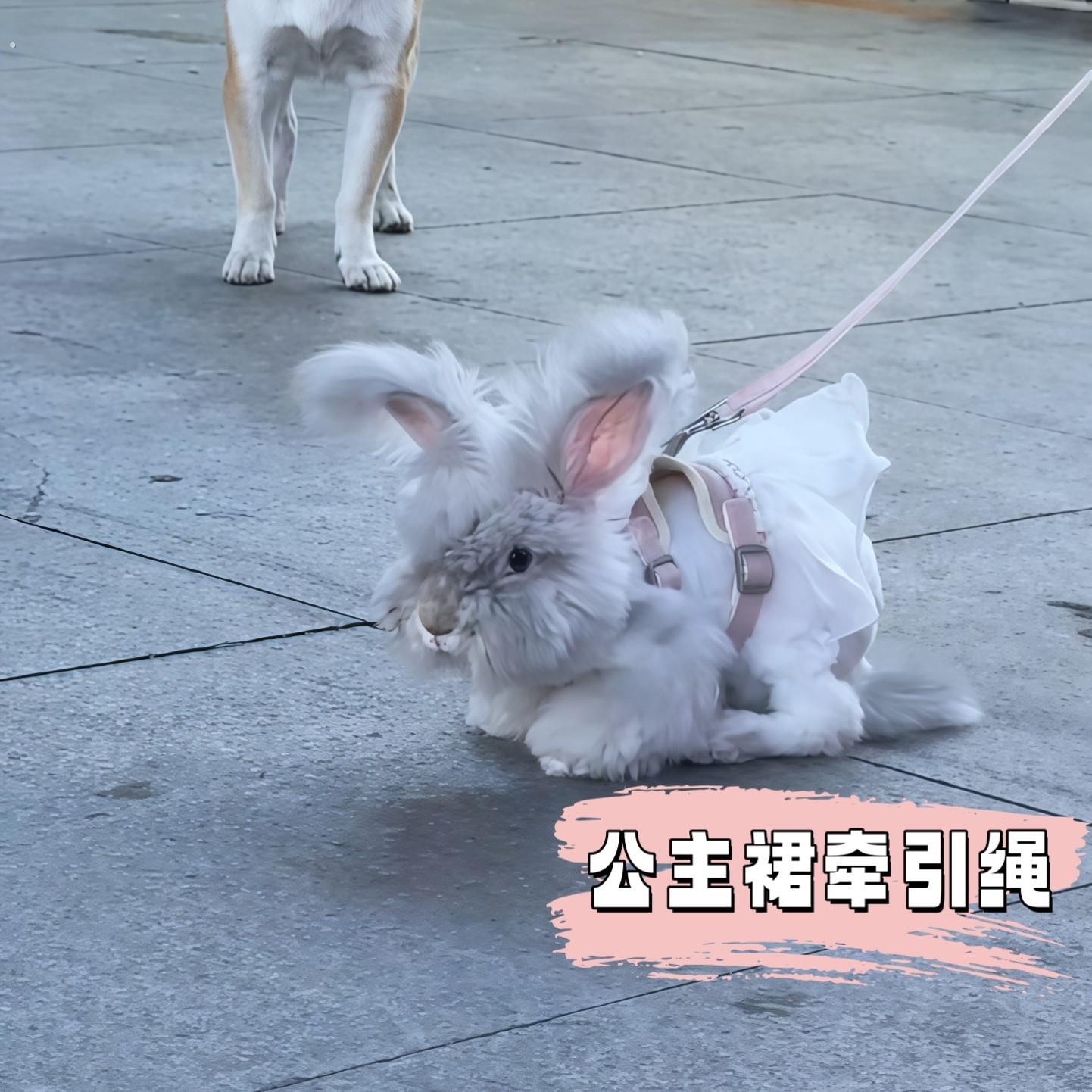 兔子牵引绳胸背式背心牵引绳遛狗猫牵引绳防挣脱外出专用宠物用品