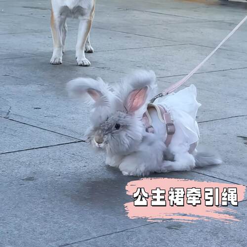 兔子牵引绳胸背式背心牵引绳遛狗猫牵引绳防挣脱外出专用宠物用品