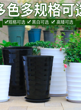 客厅发财树仿陶瓷花盆特大加厚树脂号塑料果树绿萝高筒圆形盆景盆