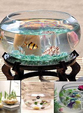 客厅大乌龟缸鱼缸玻璃花瓶透明水培花盆水仙盆碗莲盆水养植物器皿