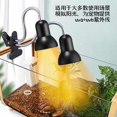 双头乌龟蜥蜴蛇晒背灯uva全光谱