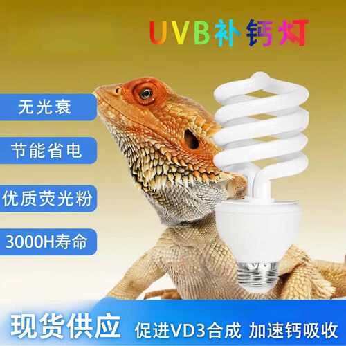 热销乌龟蜥蜴爬虫UVB50荧光