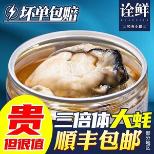 【捞汁生蚝】三倍体麻辣蒜蓉生蚝小海鲜下酒菜海鲜下饭菜特大号