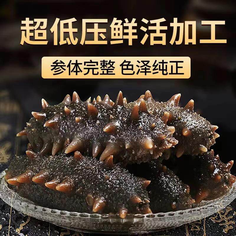 海参即食大连鲜活野生辽参干货海生叁孕妇刺参礼盒单个装