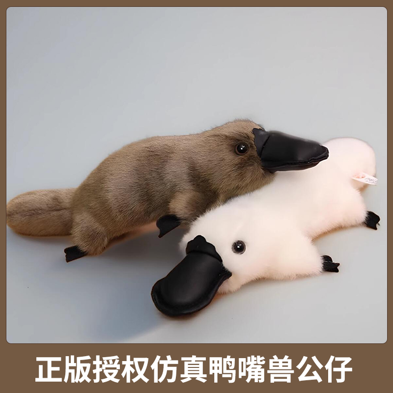 【仿真超柔】鸭嘴兽公仔玩偶