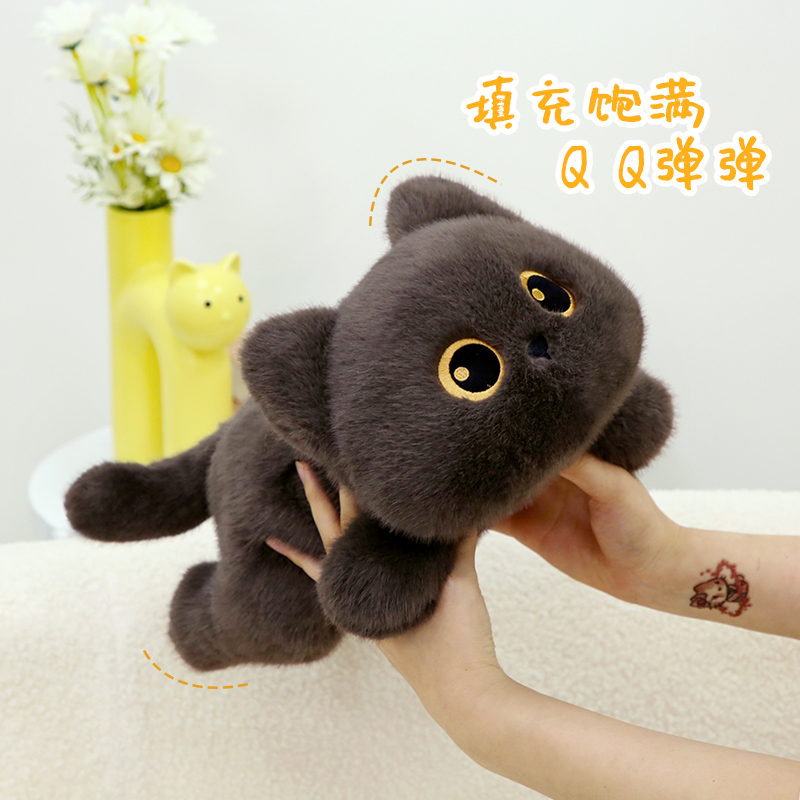 趴姿黑猫 原装正版
