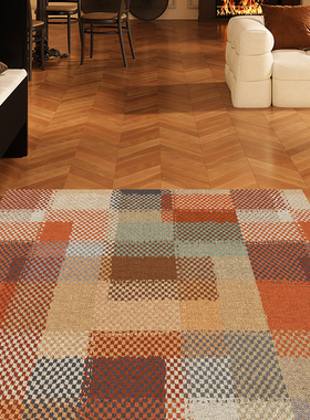 丝圈美式进门垫入户门地垫中古脚垫子大门口耐脏玄关门厅彩色地毯