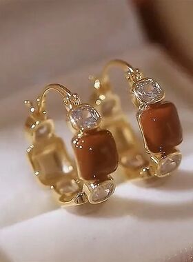 Exquisite Brown Zircon Unique Design Earrings for Women