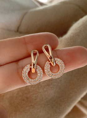 Hot Sale Exquisite Luxury Zircon Stud Earrings For Women AAA