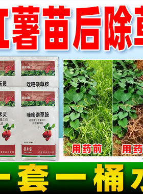 格力斯红薯苗后专用除草剂