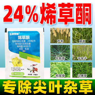 互惠赞歌24%烯草酮除草剂专杀千金子稗草尖叶禾本科杂草正品农药