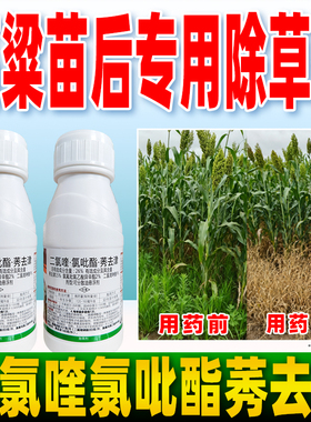 高粱田专用除草剂26%二氯喹啉酸氯氟吡氧乙酸异辛酯莠去津农用药