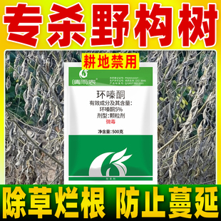 晴雨表除野构树专用除草剂正品环嗪酮哃还秦同野构树除草烂根剂
