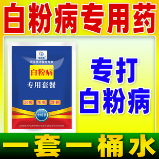 白粉病专用杀菌剂白粉病专用套餐白粉病专用药白粉病克星正品农药