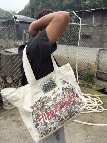 【原创】狗狗幼儿园帆布包大容量