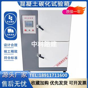 数显式混凝土碳化试验箱 砼碳化养护箱