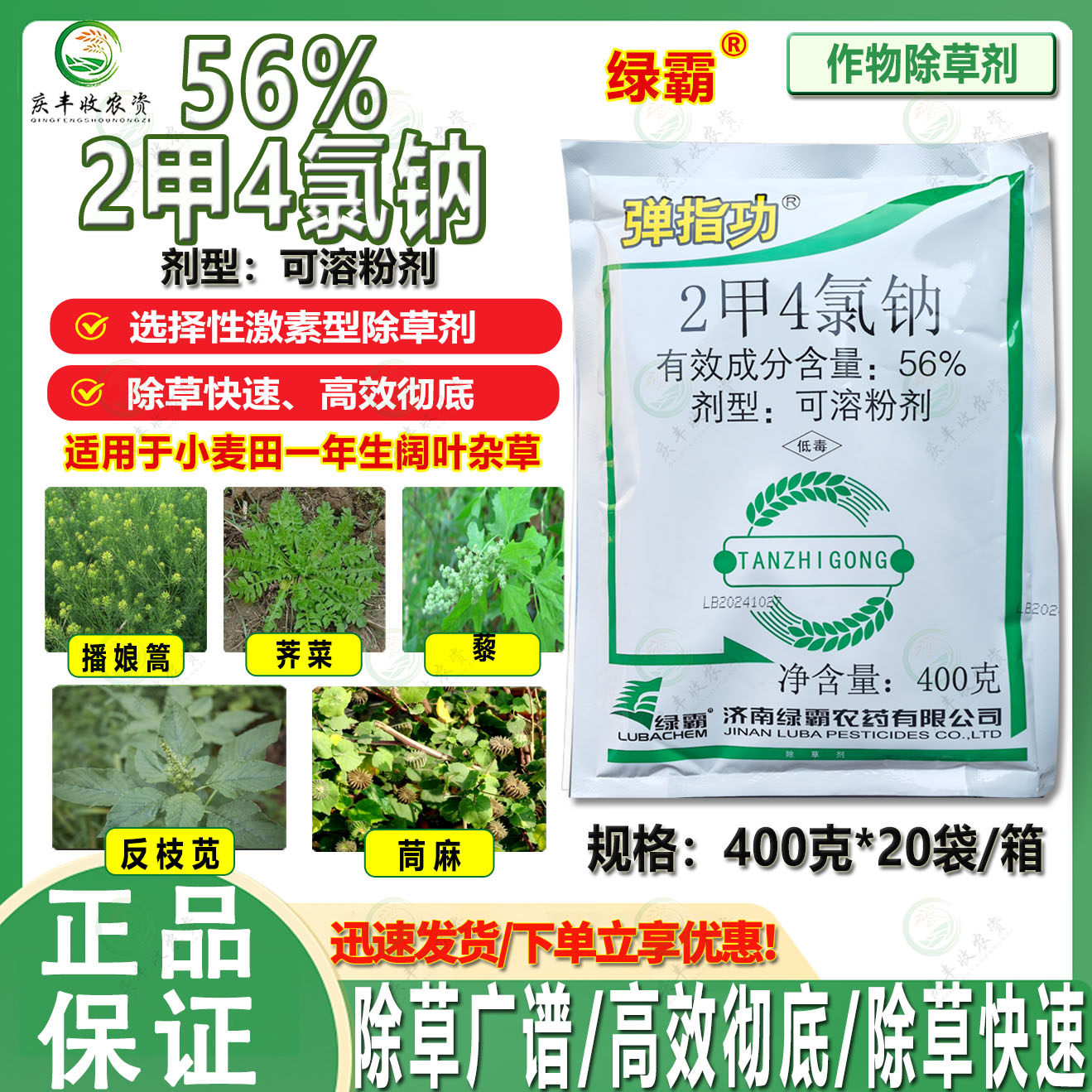 绿霸弹指功56%2甲4氯钠小麦田除草剂麦蒿荠菜反枝苋 茼麻阔叶杂草