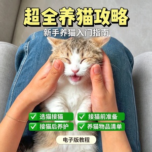 零基础养猫攻略新手选猫接猫准备养护物品清单电子版入门教学课程