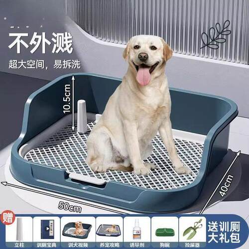 狗狗定点排便神器小型犬中型犬宠物狗大小便神器上厕所专用狗尿盆