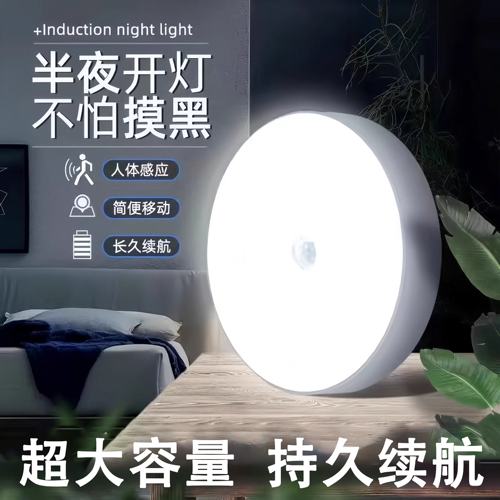 智能人体感应太阳能自充电小夜灯