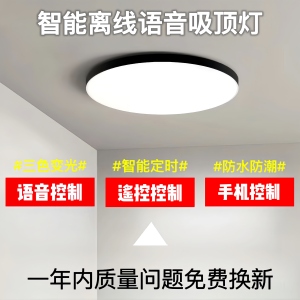 全光谱护眼LED智能语音无需连网声控遥控离线定时三防吸顶灯