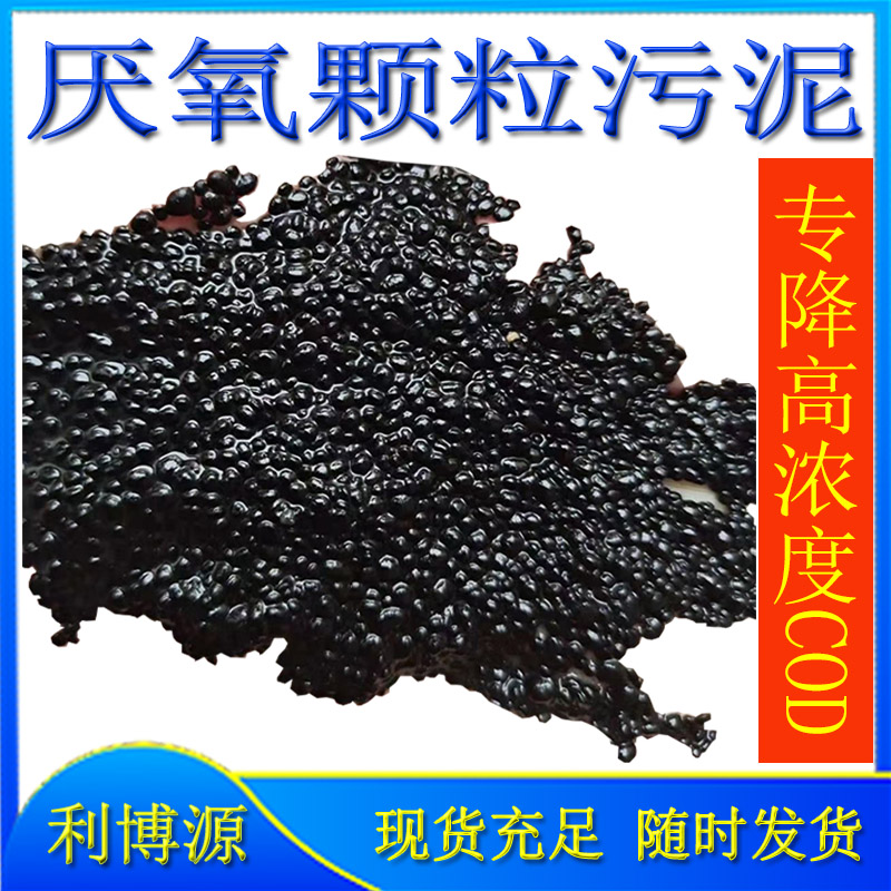 厌氧颗粒污泥 垃圾化工啤酒淀粉污废水降高cod厌氧塔罐颗粒污泥