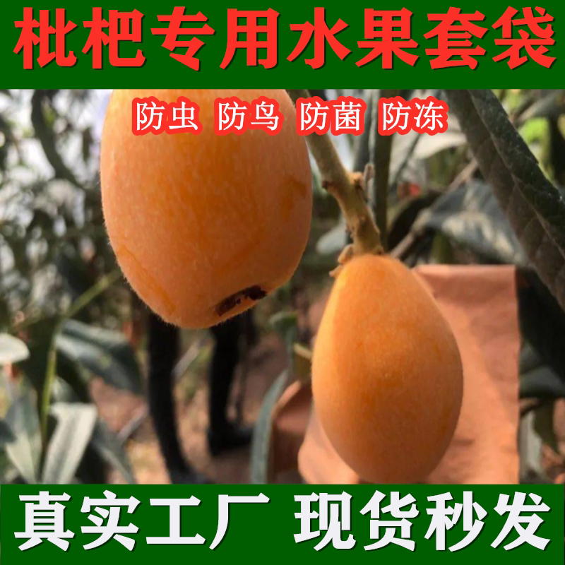 枇杷专用套袋防虫防鸟袋白色果袋双层牛皮纸袋水果保护袋