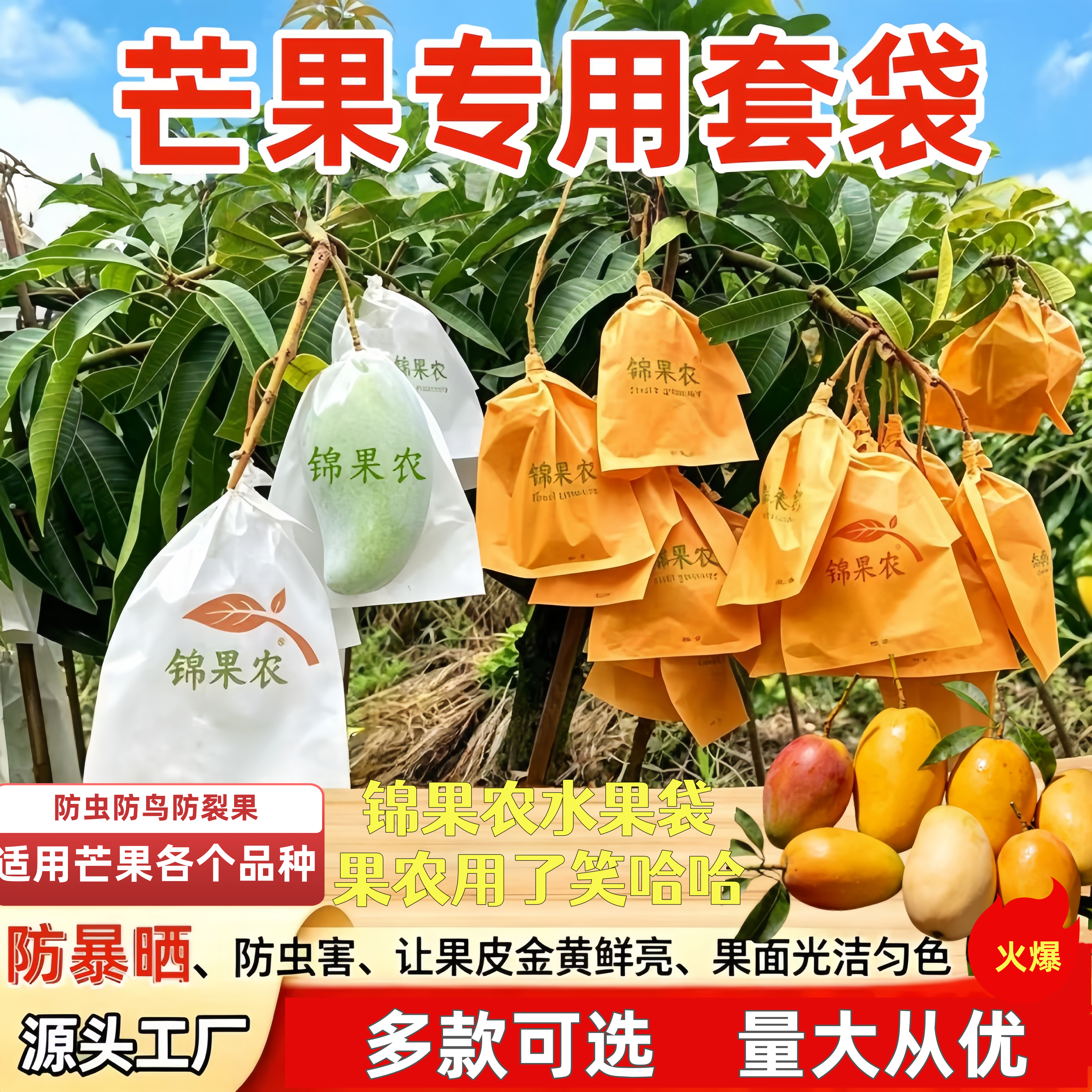 锦果农防鸟防水芒果专用套袋