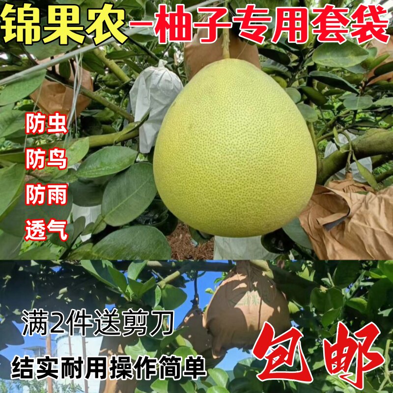 果园优选柚子专用套袋防虫防鸟袋柚子袋双层加厚水果专用套育果袋
