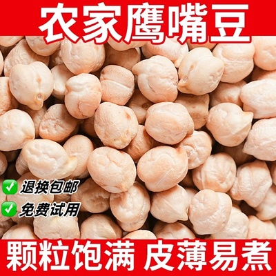 鹰嘴豆生新疆生的豆类干货