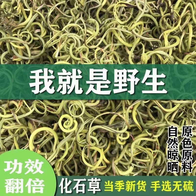 化石草长白山野生肾精茶黄金草嗷嗷叫野生化石草肾精茶