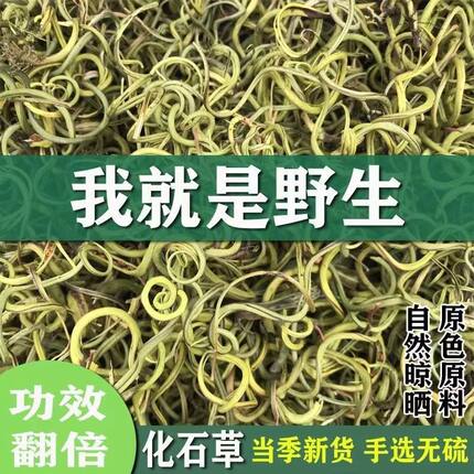 化石草长白山野生肾精茶黄金草嗷嗷叫野生化石草肾精茶