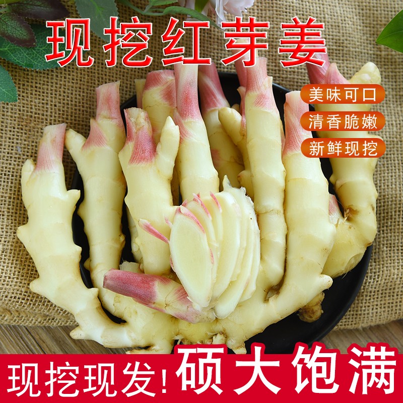 山东潍坊安丘现挖鲜姜