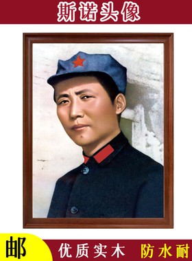 斯诺头像书房老人房会议室挂画