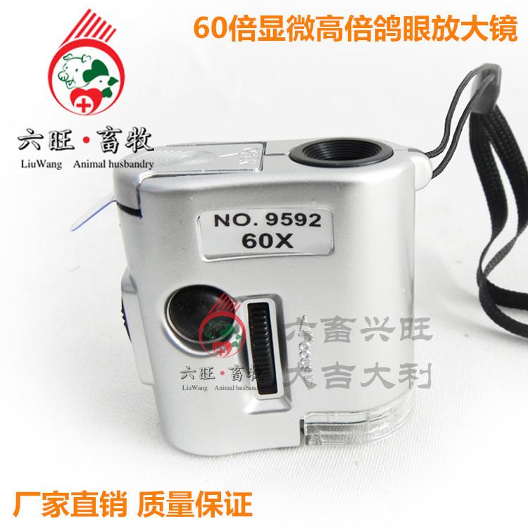 60倍显微高倍鸽眼放大镜信鸽足环鸽子脚环包邮鸽用具