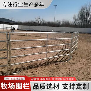 马场围栏马术赛道可移动栅栏马匹调教草原牧场养殖牛羊马铁艺围栏