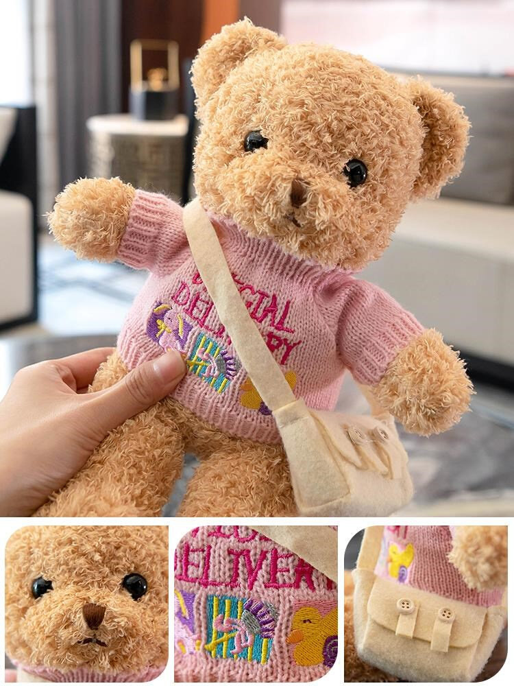 可爱穿衣小泰迪熊玩偶熊熊毛绒玩具抱睡公仔抱抱熊娃娃生日礼物.